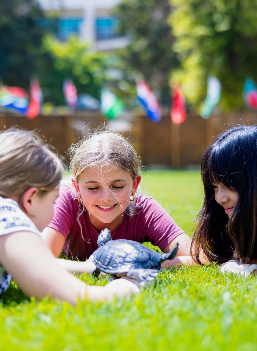 Middle School - International School in Cairo - Cairo American College